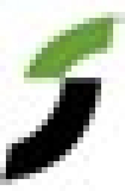 SIPT®  GmbH - Provisionsbasis - Zwickau