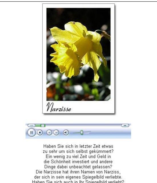  Kostenloses Blumen - Tarot mit Tonausgabe  . . . . - Esoterik Pendel Horoskop - Bad Oeynhausen