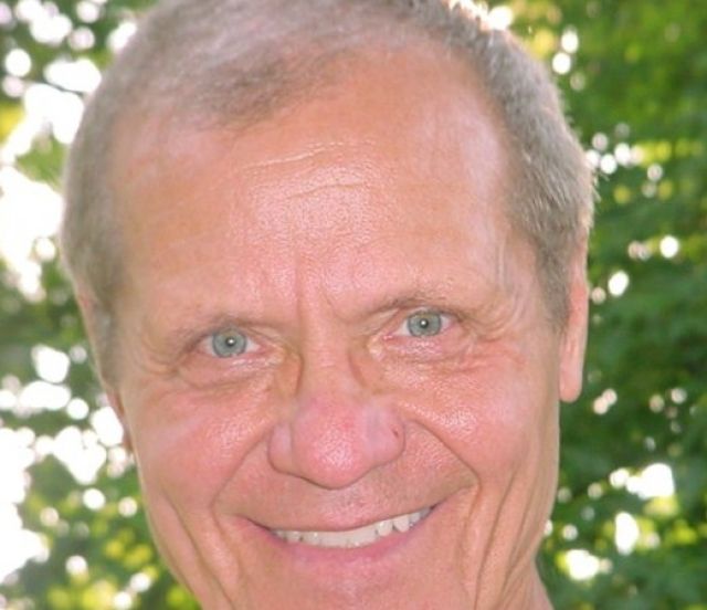 Seriöser, zuverlässiger Fahrer macht Aushilfe - Fahrdienst Chauffeur - Bretten