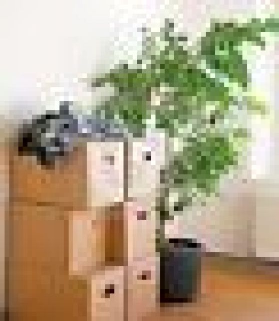 Ihr Partner bei Umzüge, Wohnungsauflösungen und Entrümpelungen - Baugewerbe - Berlin