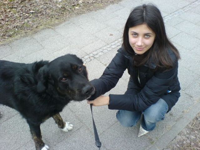 Suche Job als Babysitterin. - Kinderbetreuung - Berlin