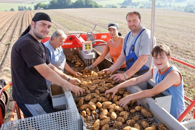 Suche selbständige AUSHILFSKRAFT - Ernte Helfer - Ellwangen