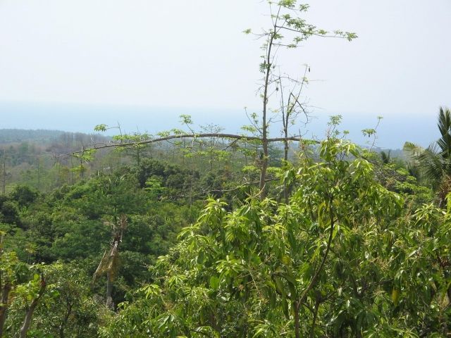 Matahari Mountain Resort - Tegal Linggah / Bali - Sponsor Investor - Jl.Cokroaminoto Gang Pudak 11A