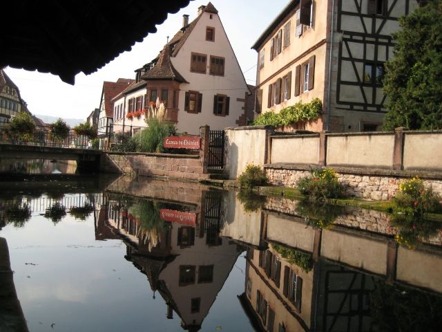 Golden-Au-Pair-Agentur sucht Au-Pairs für VOX!!! - Au Pair - Schriesheim