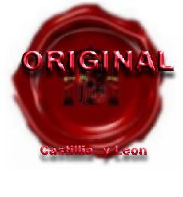 Biete seriöse Vollexistenz (Franchise) - Franchising - Chemnitz