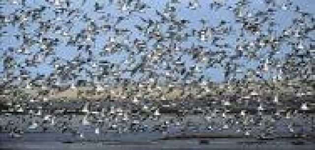 ALLE NETWORKER BEKOMMEN - Strukturvertrieb - Ebersberg