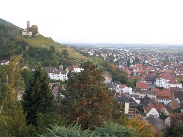 Au-Pair-Wechslerin für 15.11.08!!! - Au Pair - Schriesheim