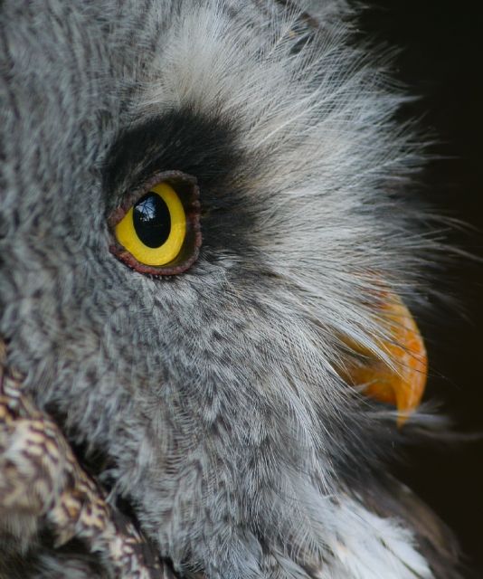 Flash - Animationen ab 15 Euro - Webdesign - Augsburg