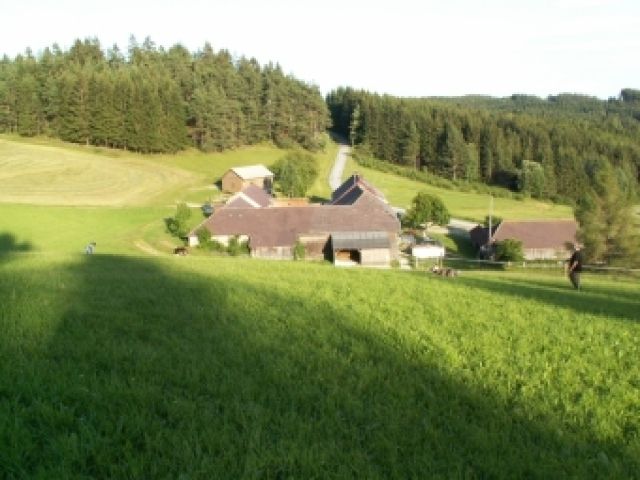 Projekt: Lama- und Alpaka Ranch sucht Investor/Stillen Teilhaber - Sponsor Investor - Eisgarn