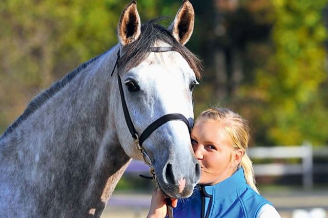 GESUCHT: Pferde- und Hundefreunde - Networkmarketing - 58454