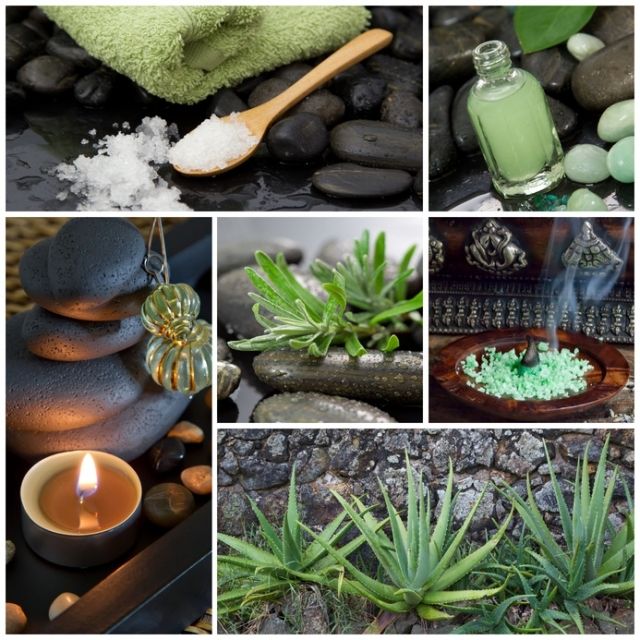 Vertriebspartner von FLP, Aloe Vera Produkte - Networkmarketing - 5020