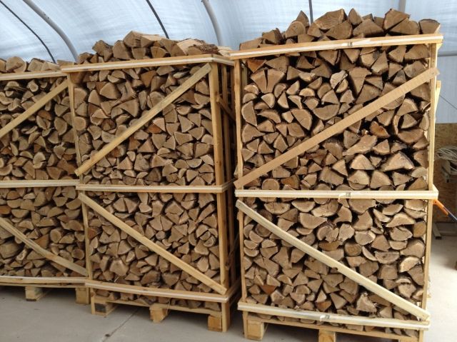  buche, hainbuche, eiche  - Haushaltsaufloesungen -   Bockenem
