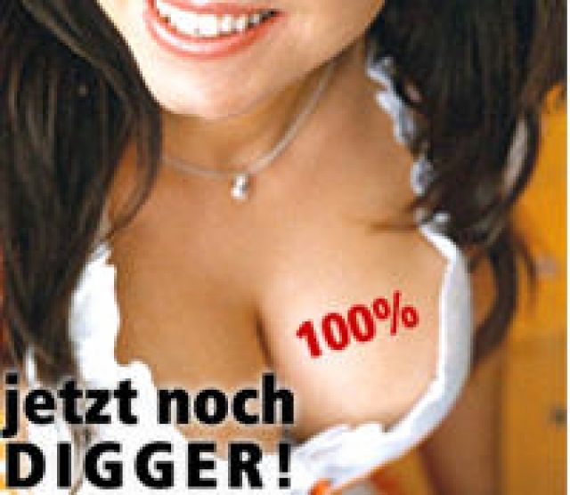 DiggerMAIL.de - Edv Dienste - Senftenberg