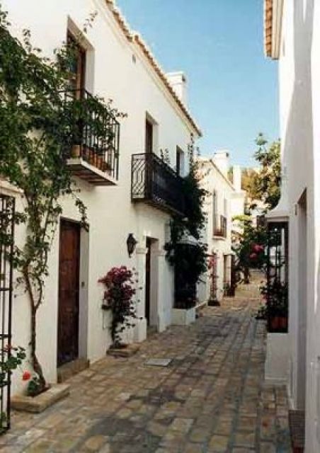 Ihre Firma im Internet - Webdesign - Almogia