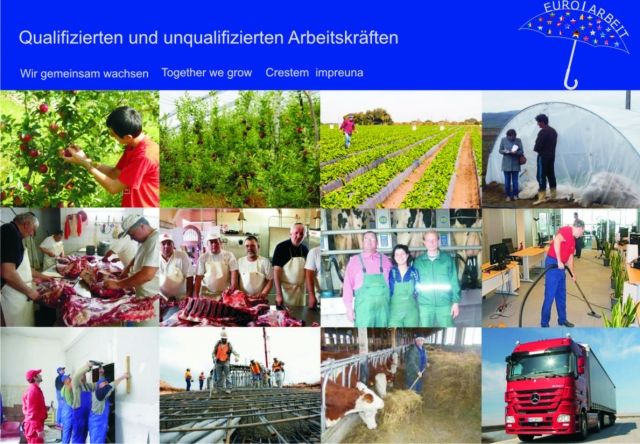 Mitarbeiter ab Sofort! - Baugewerbe - Bukarest, Rumänien