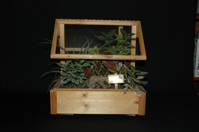 WELTNEUHEITEN wegen Krankheit zu übergeben! - Geschaeftsverbindungen - Berlin 