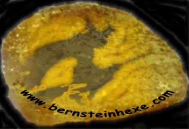 Bernsteinschmuck und mehr - Internet Telejob - Pottenstein