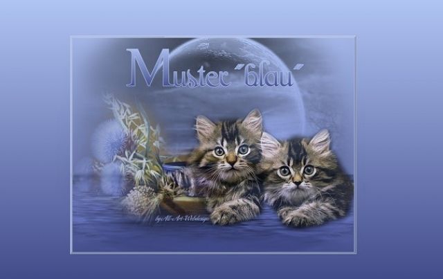 Webdesign zum Festpreis - Webdesign - Neukirch