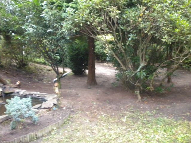 Sauber und Günstig! - Haushaltsaufloesungen - Mönchengladbach