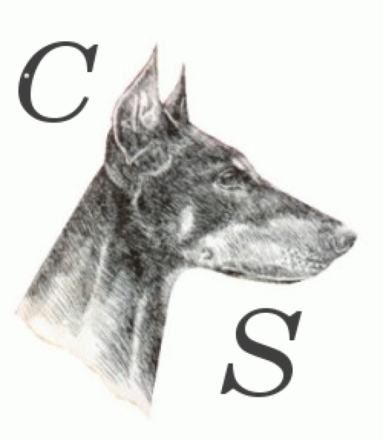 Von FRAU zu FRAU - Detektei - Hohne