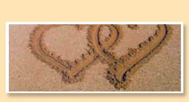 Verschenken Sie 1 Grußwebseite - Webdesign - Berlin