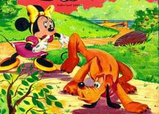 Die eigene Domaine - Webdesign - Erfurt