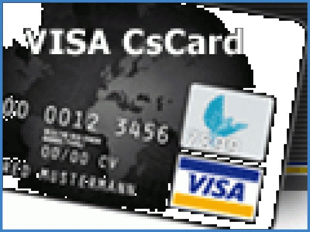 VISA ohne SCHUFA aus der BRD ! - Kredite und Kreditkarten - Ahlen