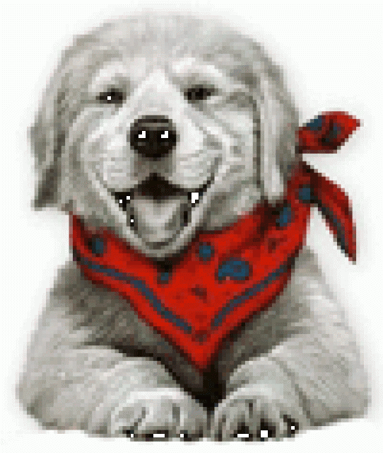 Webauftritt aus Profihand - Webdesign - Kaunas