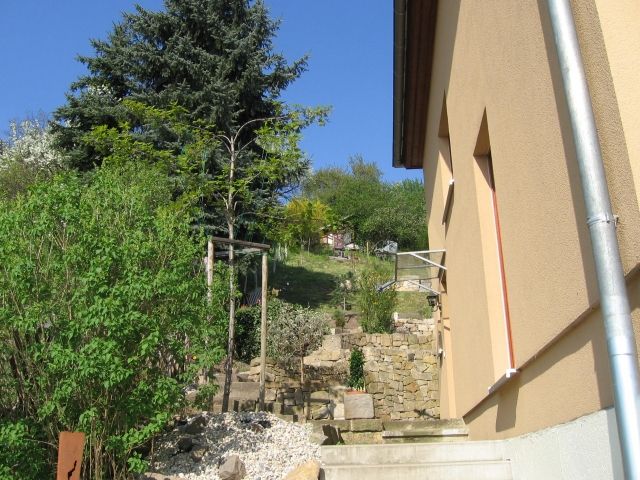 Baufirma, Baudienstleistungen,  - Baugewerbe - Dresden