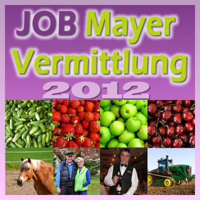 Arbeitskräfte, Erntehelfer aus Rumänien - Ernte Helfer - Neusäß