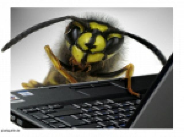 Profi-Chatter gesucht - Heimarbeit - Bundesweit