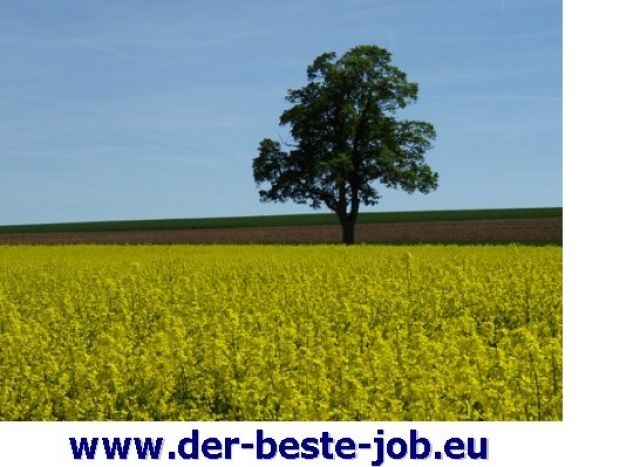 Geld verdienen durch Zuhause arbeiten. Wie? Hier die Lösung! - Internet Telejob - Erftstadt