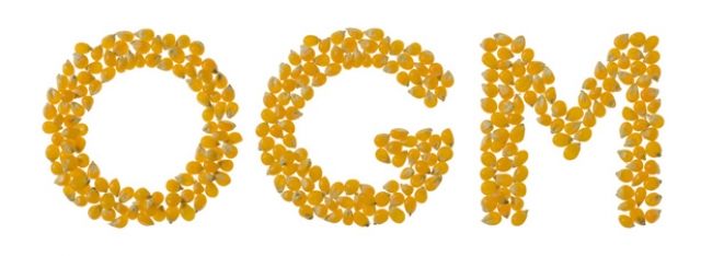 Subunternehmer (SU) sucht Aufträge- - Reinigung Fensterputzen - Frankfurt am Main - Innestadt