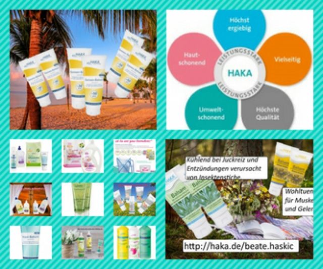 Umweltfreundliche Reinigungsmittel - nachhaltig und hautschonend - Reinigung Fensterputzen - Erlangen