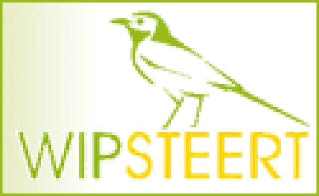 WIPSTEERT - Werbeagentur Büsum ltd - Webdesign - Büsum