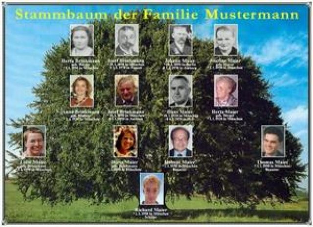 Stammbaum mit Foto  - Hochzeitsorganisation - Laufen