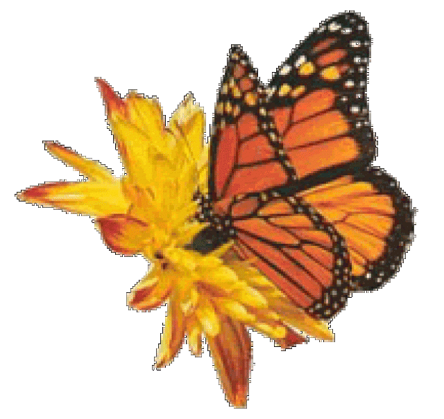 Text, Vortrag, Copywriting und Ghostwriting in Deutsch und Englisch - Text Reden - Oberhausen