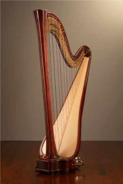 Suche dringend einen Sponsoren für eine Konzertharfe! - Sponsor Investor - Würzburg