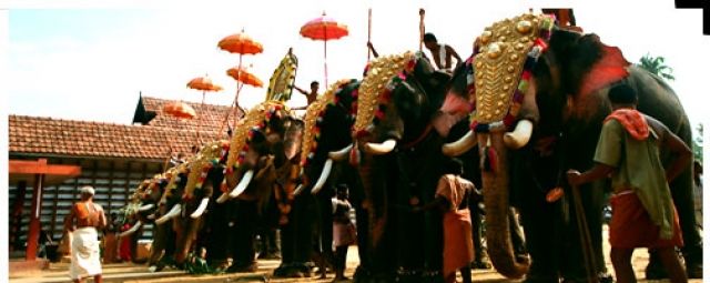 Die vergoldeten Ornamente für Elefanten und handgemachte bunte dekorative Schir - Rund Ums Haus - offenbach am main