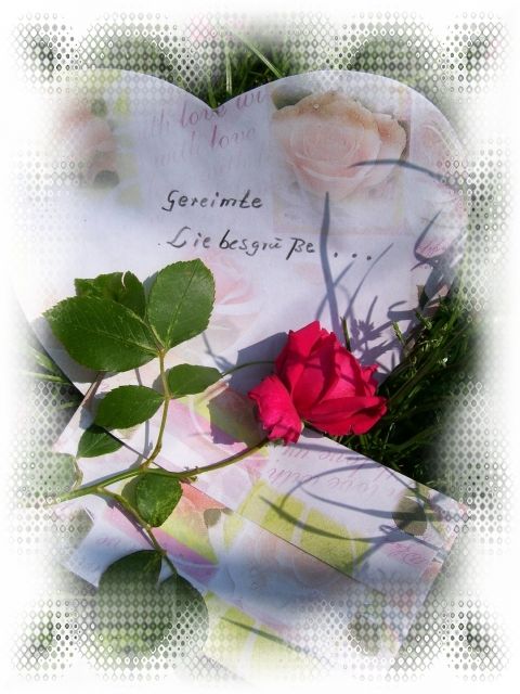 Gereimte Texte aller ART - Text Reden - Wittenberg