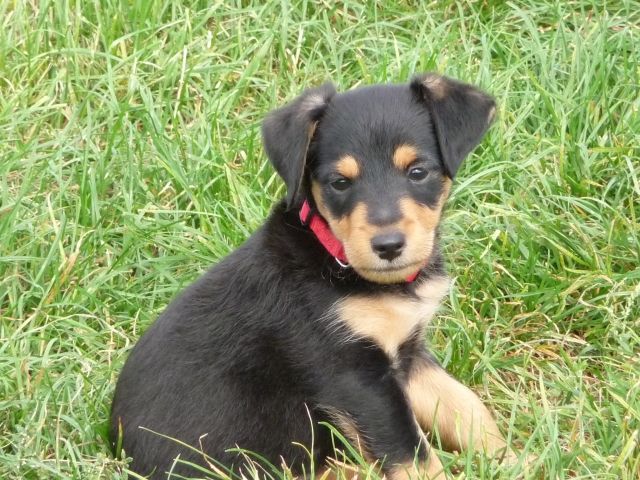 Gssi geh service! - Pflegedienst - weimar