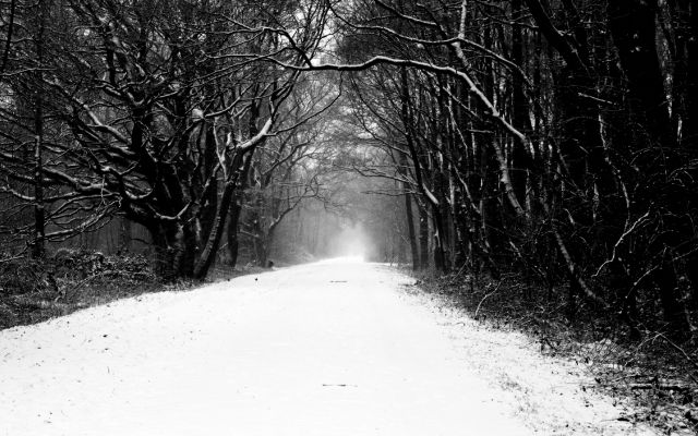 Jeder hat das Recht glücklich zu sein auch DU! Spirituelle Lebensberatung - Esoterik Pendel Horoskop - Issum