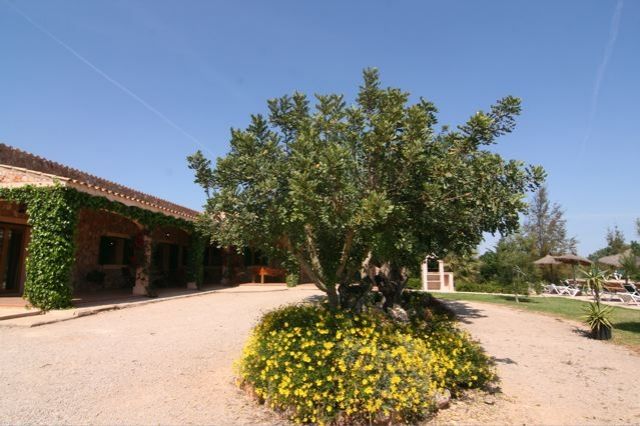 Finca auf Mallorca im Osten Porto Cristo - Reisen Urlaub - Mallorca